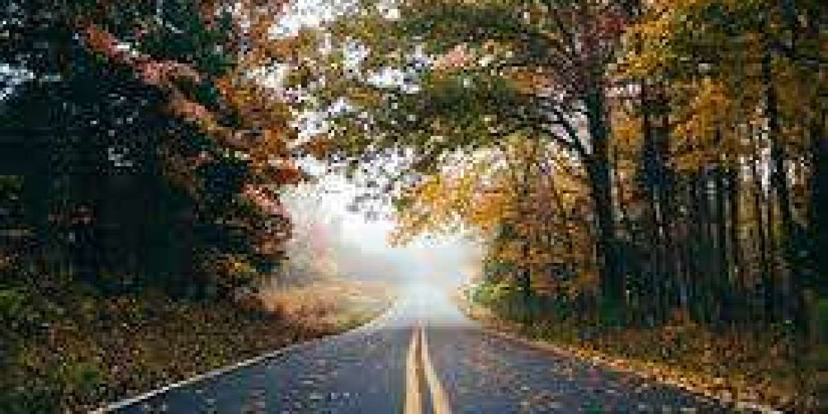 The Tush Drive is in this article in the direction of live, for previously