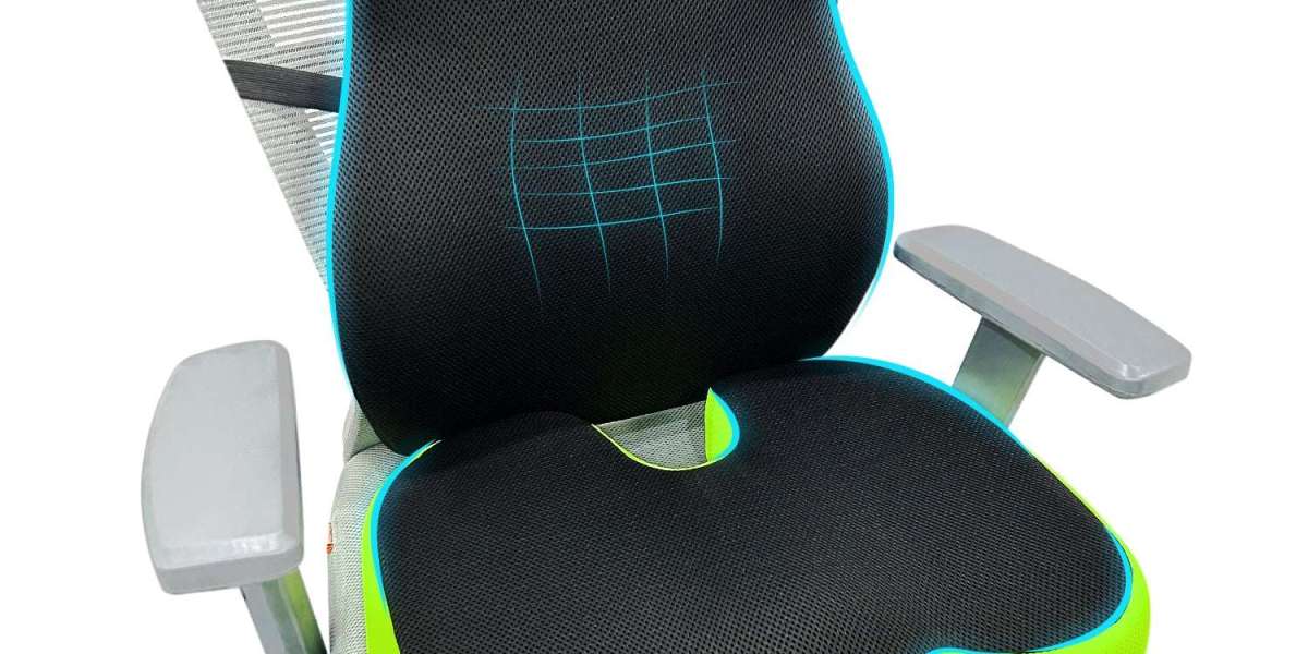 Memory Foam Support Cushion for Back and Hips
