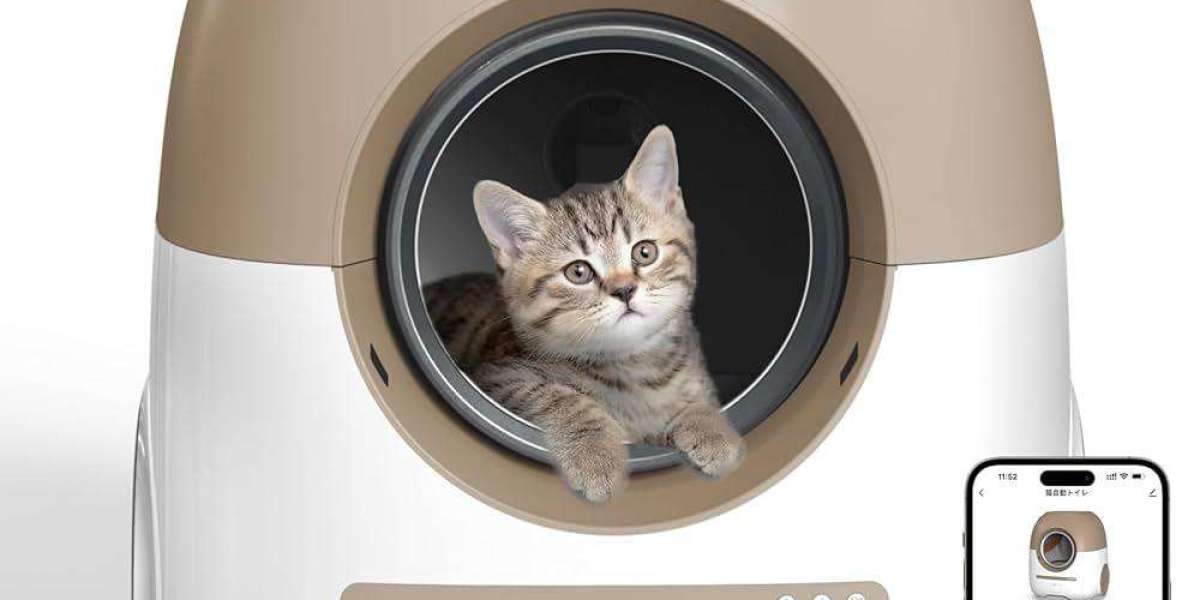 Why Pawtechpet's Automatic Litter Box is Perfect for Busy Cat Owners?