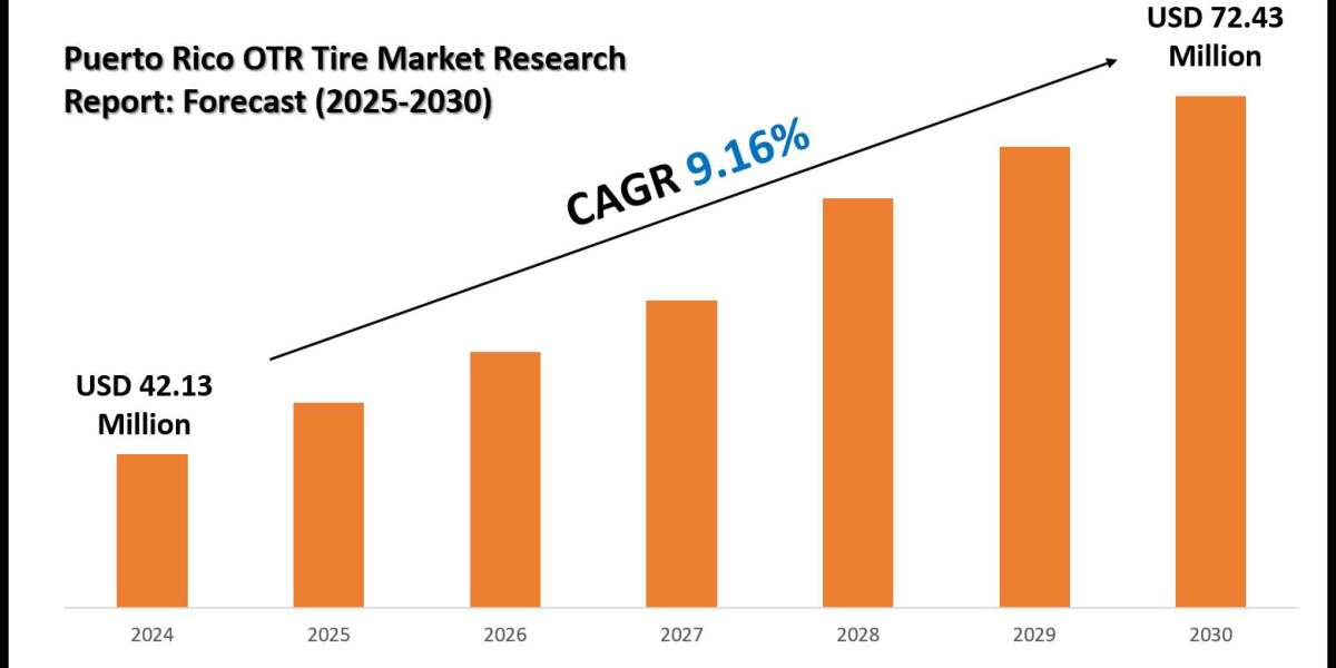 Puerto Rico OTR Tire Market Key Players, Companies and Forecast 2030