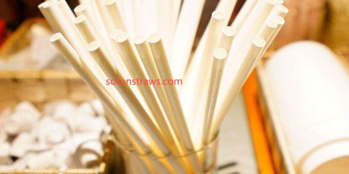Explore Soton's AI Paper Straws Manufactory