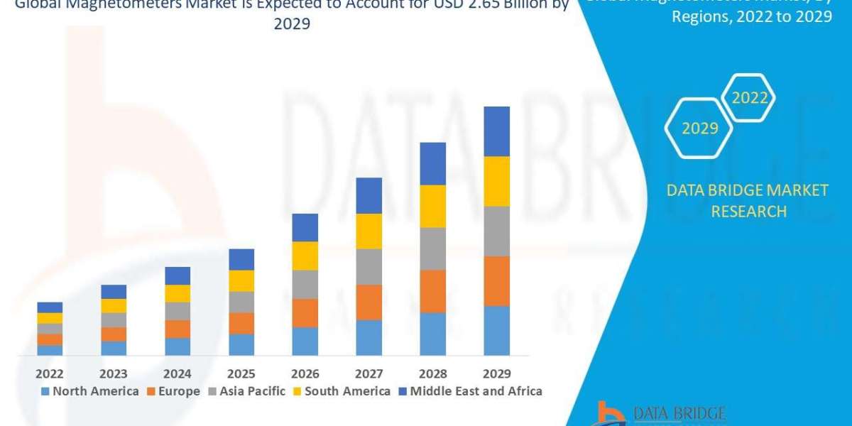 Magnetometers Market Analysis On Size and Industry Demand 2029
