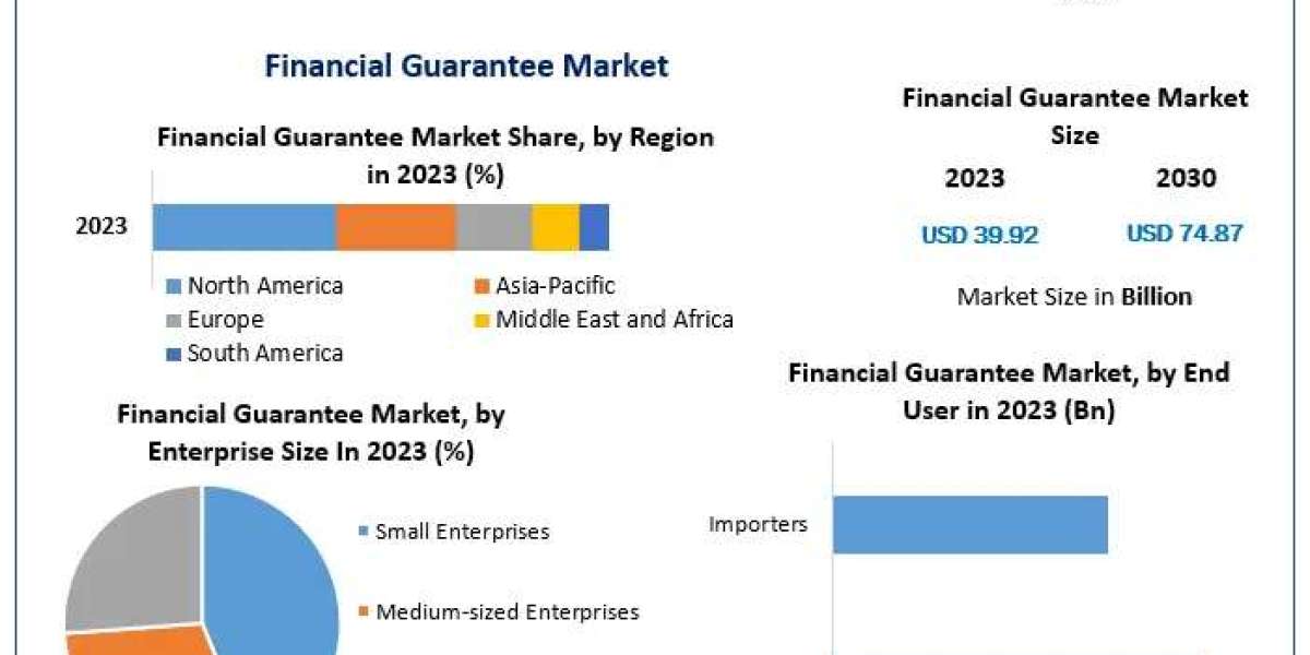 Financial Guarantee Market Size, Forecast, and Emerging Opportunities (2024-2030)