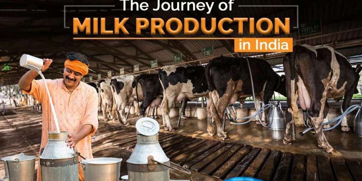 Discover the History of Milk Production in India