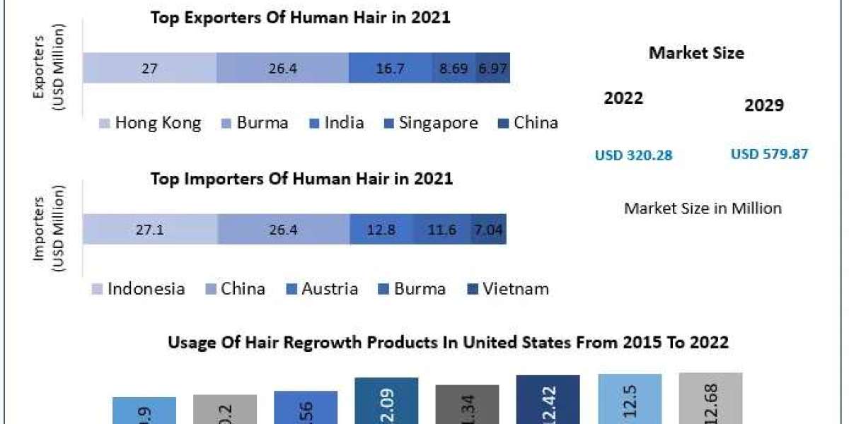 Hair Extensions Market Size, Forecast, and Emerging Opportunities (2023-2029)